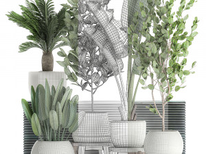 decorative plants for the interior in white flowerpots 626 3Dモデル