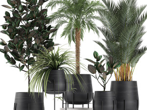 decorative plants for the interior in white flowerpots 627 3D Model