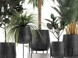 decorative plants for the interior in white flowerpots 627 Modelo 3D