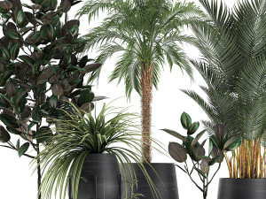 decorative plants for the interior in white flowerpots 627 Modelo 3D