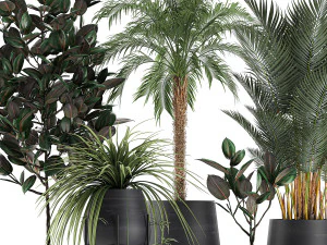 decorative plants for the interior in white flowerpots 627 3D Model