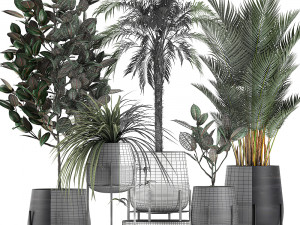 decorative plants for the interior in white flowerpots 627 Modelo 3D