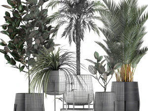 decorative plants for the interior in white flowerpots 627 3D Model