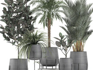 decorative plants for the interior in white flowerpots 627 3D Model