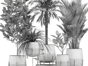 decorative plants for the interior in white flowerpots 627 Modelo 3D