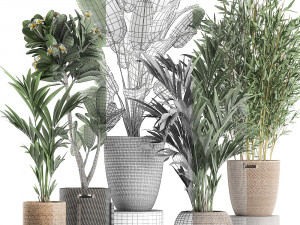 plants in baskets for the interior 631 3D Model