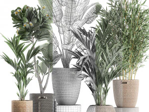 plants in baskets for the interior 631 3D Model