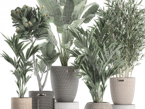 plants in baskets for the interior 631 3D Model