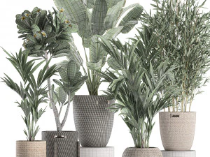 plants in baskets for the interior 631 3D Model
