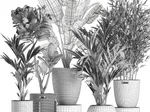 plants in baskets for the interior 631 3D Model
