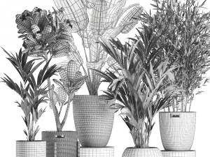 plants in baskets for the interior 631 3D Model