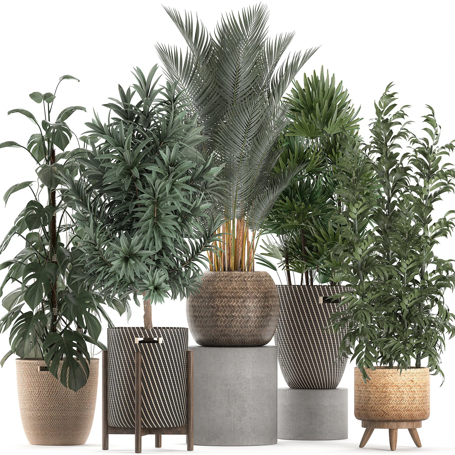 plants in baskets for the interior 632 3D Model .c4d .max .obj .3ds .fbx .stl .blend 