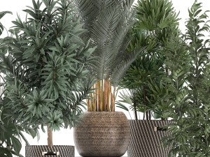 plants in baskets for the interior 632 3D Model