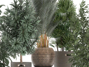 plants in baskets for the interior 632 3D Model