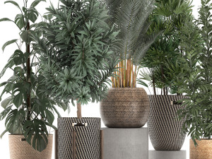 plants in baskets for the interior 632 3D Model
