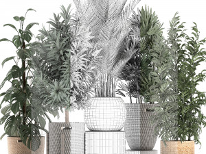 plants in baskets for the interior 632 3D Model