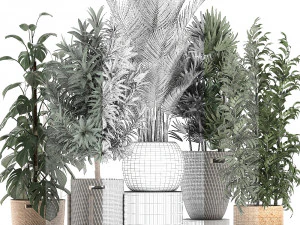 plants in baskets for the interior 632 3D Model