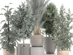 plants in baskets for the interior 632 3D Model
