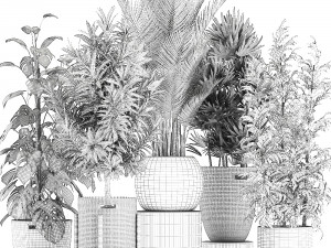 plants in baskets for the interior 632 3D Model
