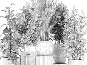 plants in baskets for the interior 632 3D Model