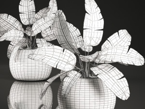strelitzia in a basket for the interior 635 3D Model
