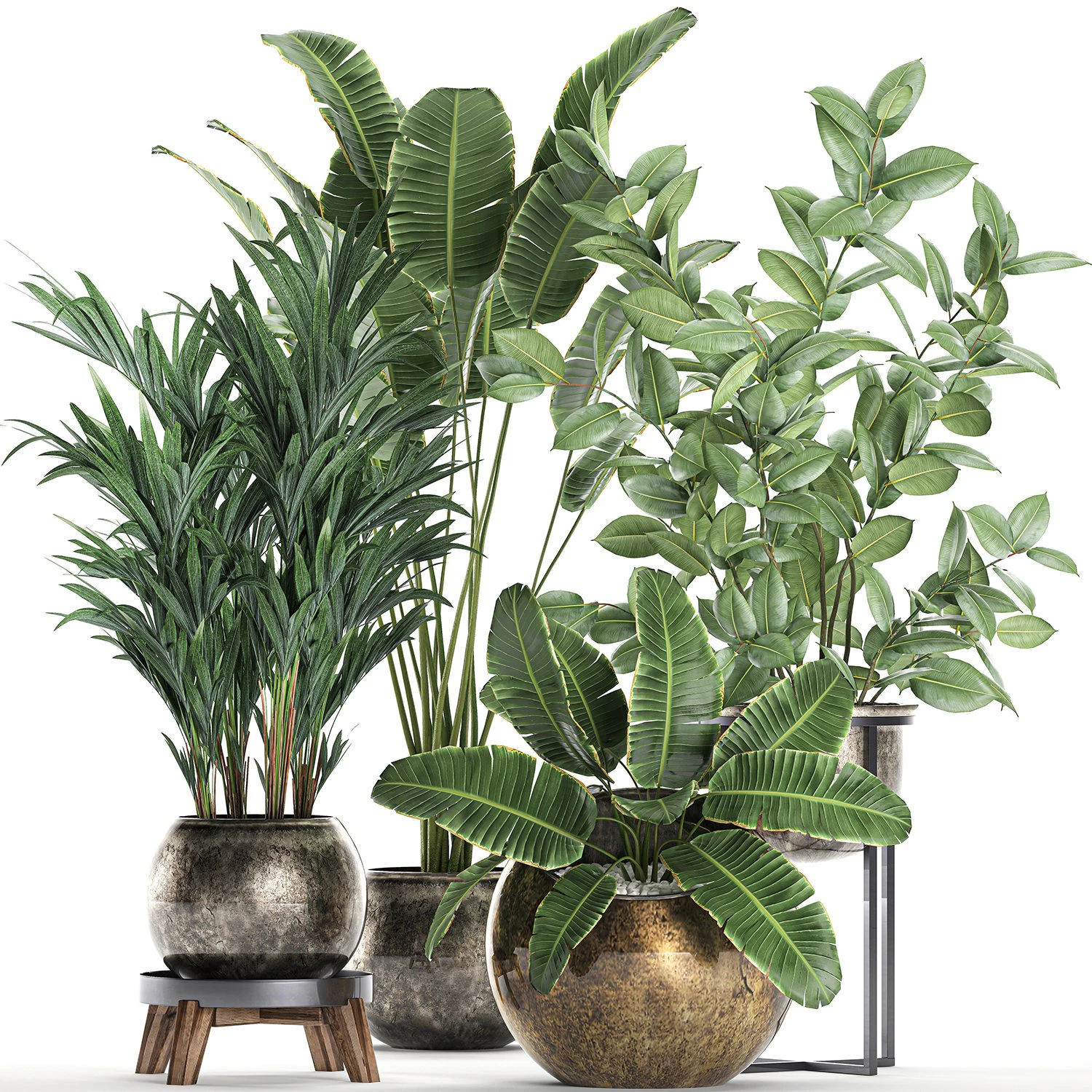 decorative plants for the interior in flowerpots 636 3D Model .c4d .max .obj .3ds .fbx .stl .blend 