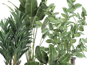 decorative plants for the interior in flowerpots 636 3D 모델