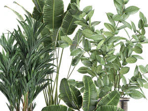 decorative plants for the interior in flowerpots 636 3D Model
