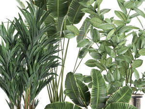 decorative plants for the interior in flowerpots 636 3D Model