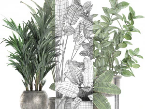 decorative plants for the interior in flowerpots 636 3D Model