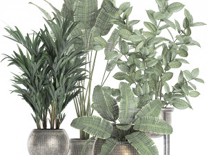 decorative plants for the interior in flowerpots 636 3D 모델