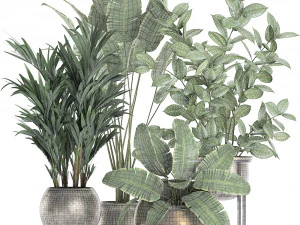 decorative plants for the interior in flowerpots 636 3D Model