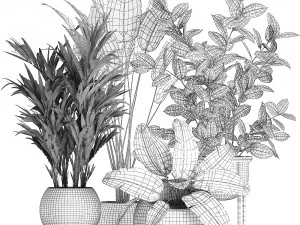 decorative plants for the interior in flowerpots 636 3D Model