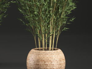 bamboo tree for the interior in basket 638 Modelo 3D