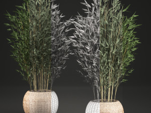 bamboo tree for the interior in basket 638 Modelo 3D