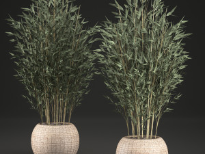 bamboo tree for the interior in basket 638 Modelo 3D