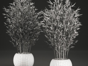 bamboo tree for the interior in basket 638 Modelo 3D