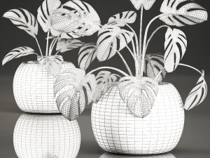 monstera for the interior in basket 641 3D Model