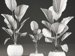 licuala for the interior in basket 642 Model 3D