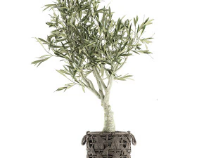 olive tree for the interior in basket 643 3D Model