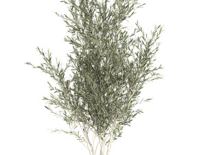 Decorative olive tree in a black flowerpots 647 3D Model