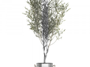 decorative olive tree in a black flowerpots 648 3D Model