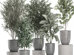 decorative plants in a black flowerpots 648 3Dモデル