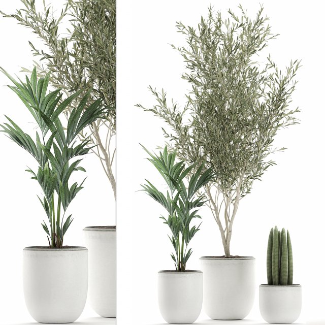decorative plants in flowerpots 651 3D मॉडल .c4d .max .obj .3ds .fbx .stl .blend 
