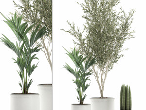 decorative plants in flowerpots 651 Modèle 3D