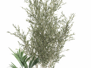 decorative plants in flowerpots 651 3D मॉडल