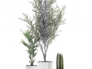 decorative plants in flowerpots 651 3D मॉडल