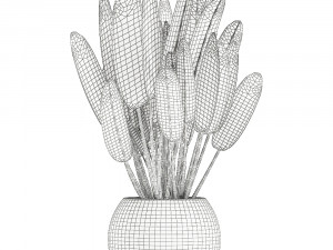 strelitzia in a white pot for the interior 656 3Dモデル
