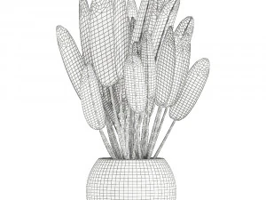 strelitzia in a white pot for the interior 656 3D Model