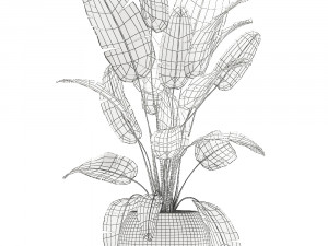 banana palm in a white pot for the interior 655 3D-Modell